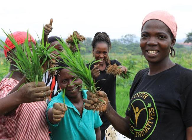 China's Tech-Empowered Grain Farming Bolsters Food Security