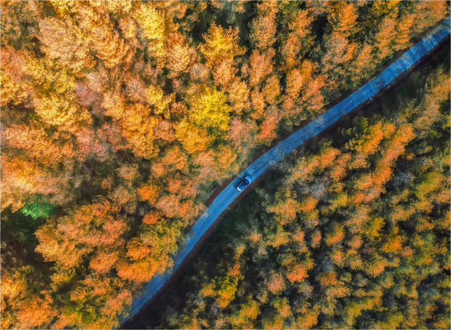 Visual Chongqing | Weekly City Views on November 3-November 9, 2025