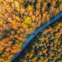 Visual Chongqing | Weekly City Views on November 3-November 9, 2025