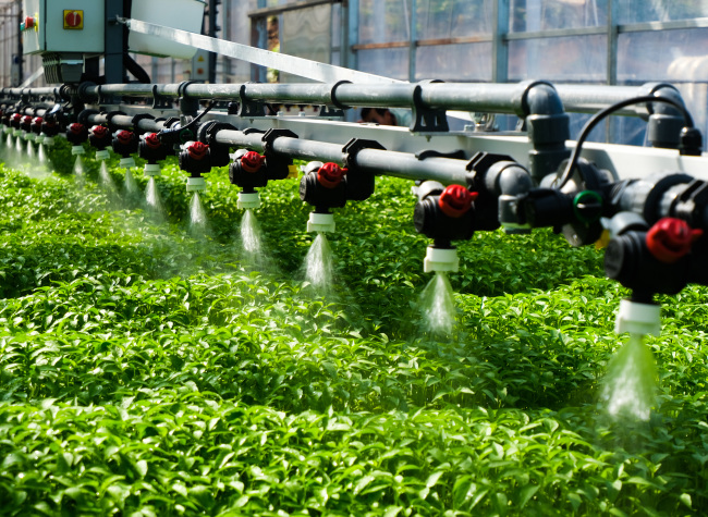 Chongqing Seed Innovation Honored by UN for Advancing Food Security in Bangladesh