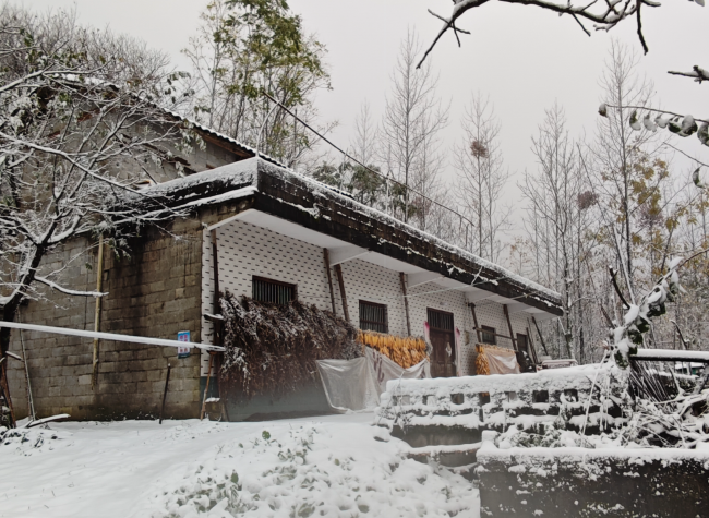 First Snowfall of the Season Transforms Chongqing Yunyang's Mountain Peaks
