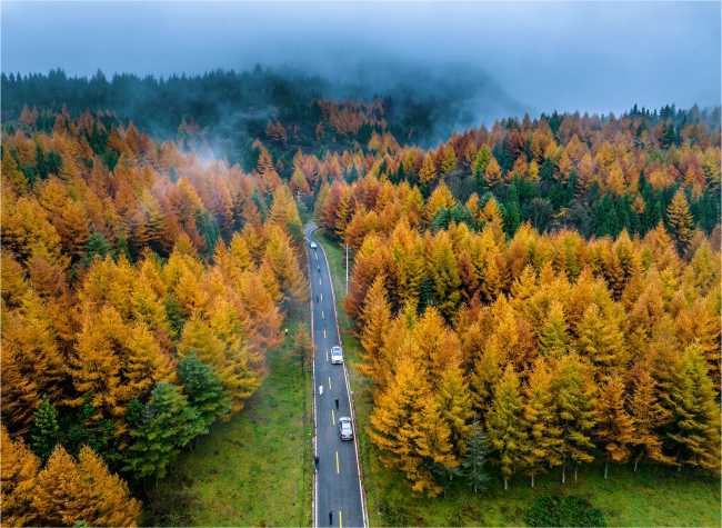 Visual Chongqing | Weekly City Views on November 10-November 16, 2025