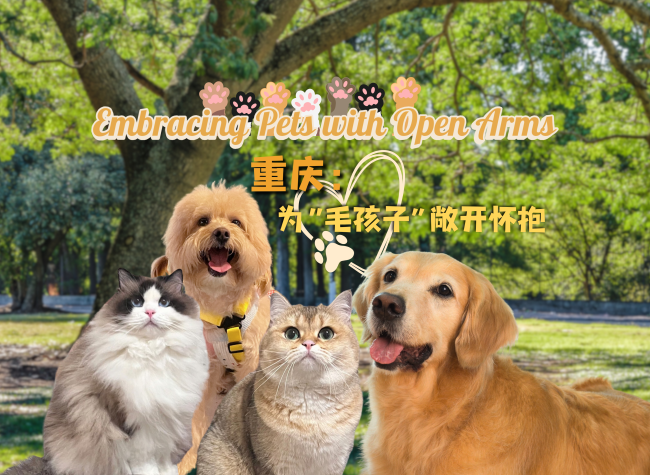 Chongqing: Embracing Pets with Open Arms