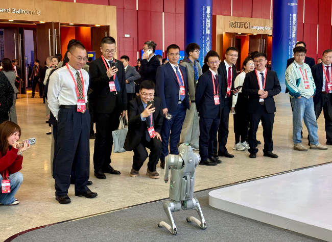 High-Level Talent Conference in Chongqing Draws Global Experts, Earning Praise as