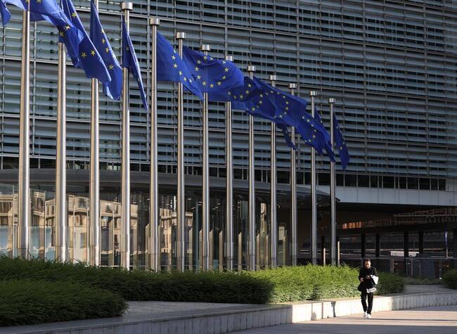 China Urges EU to Provide Fair, Transparent, Non-discriminatory Business Environment for Chinese Companies