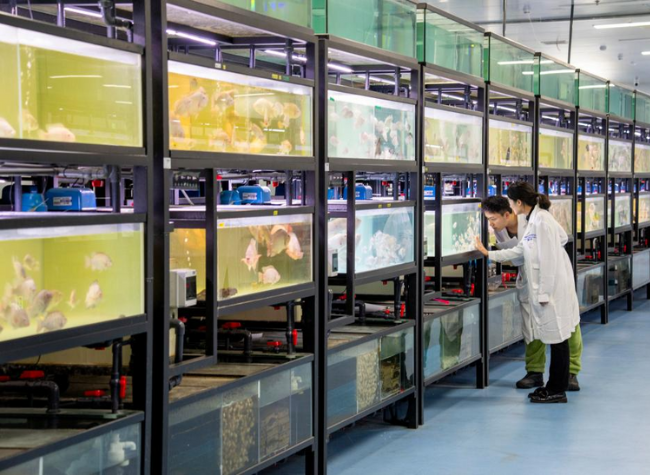 Chongqing Invites Tech Pioneers to Compete for $42M in Emerging-Industry Funding