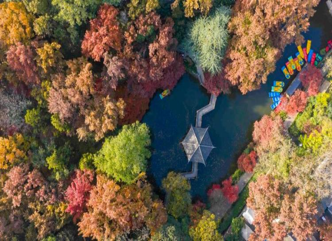 China Reports Achievement in Forestry, Grassland Germplasm Resources Conservation