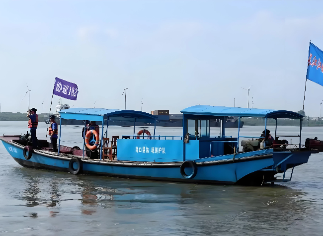 Jiangxi Hukou's Patrol Team Safeguards Endangered Species in the Yangtze