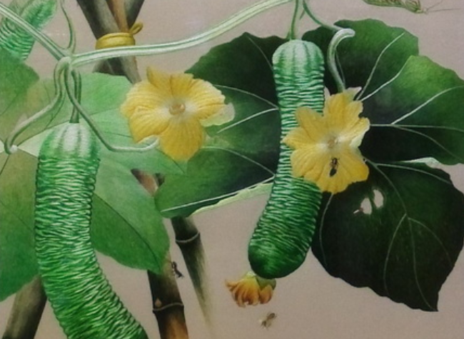 Audible | Sha-Ci Random Stitch Embroidery