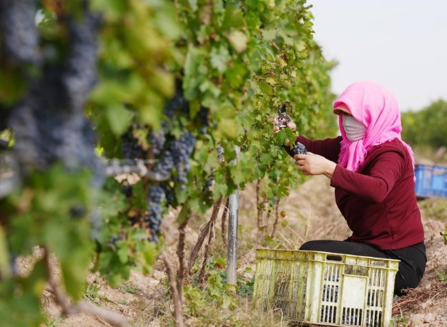 China's Poverty Alleviation Achievements Continually Consolidated and Expanded in 2025