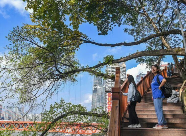 Chongqing Expands Scenic Urban Trails, Linking History, Culture and Recreation