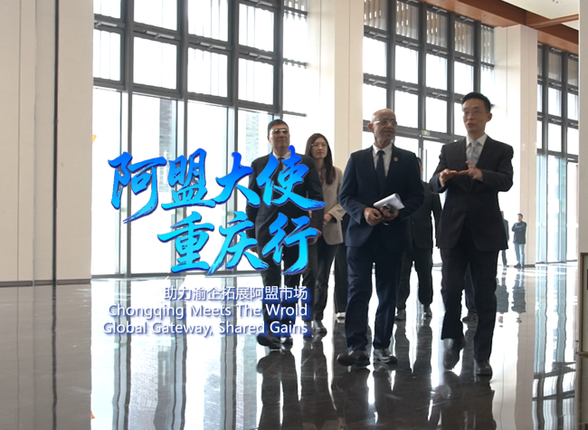 Arab League Ambassador to China Visits Chongqing to Deepen Trade and Investment Cooperation