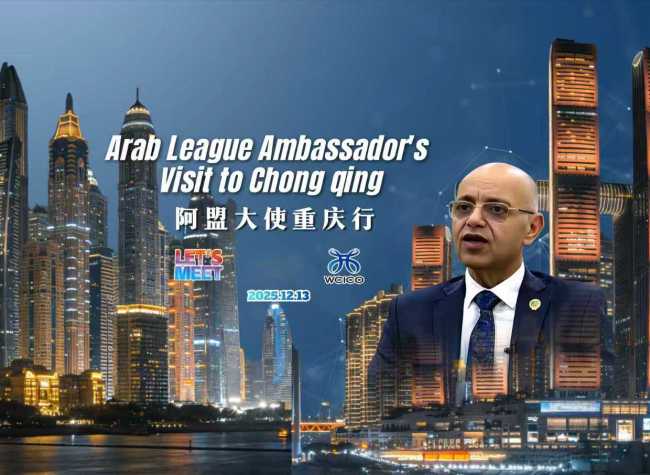 Arab League Ambassador's Visit to Chongqing| Let's Meet