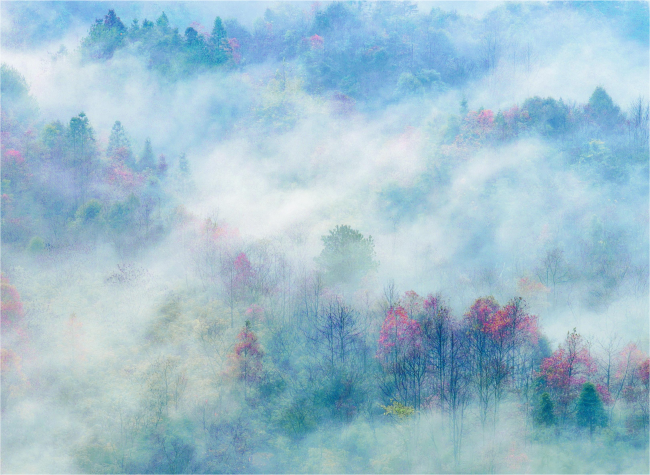 Visual Chongqing | Weekly City Views on December 8-December 14, 2025