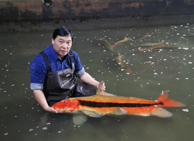 Father and Son Revive the Yangtze River: A 30-Year Journey to Save Endangered Fish Species
