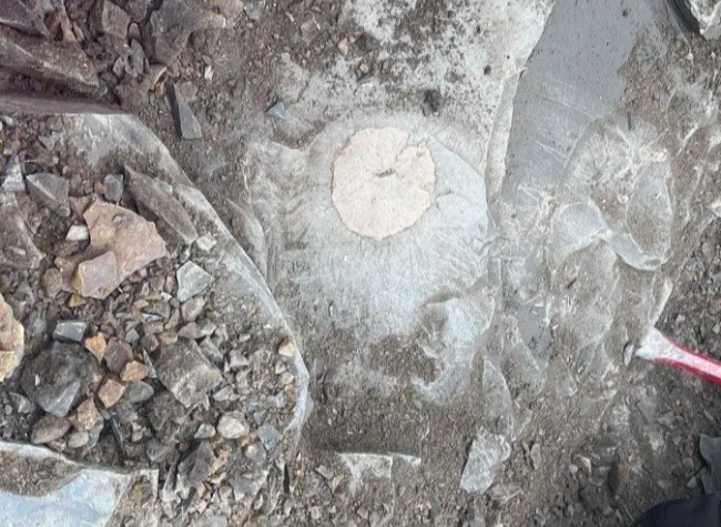 Public Interest in Chongqing