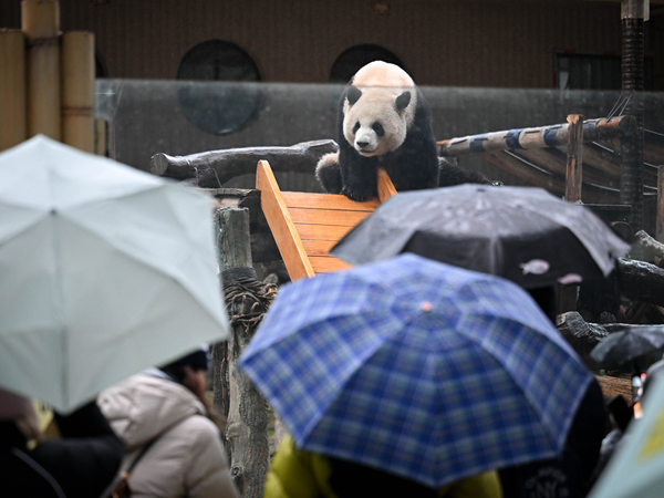 Chongqing Zoo's Winter Care for Animals as a Cold Front Hits