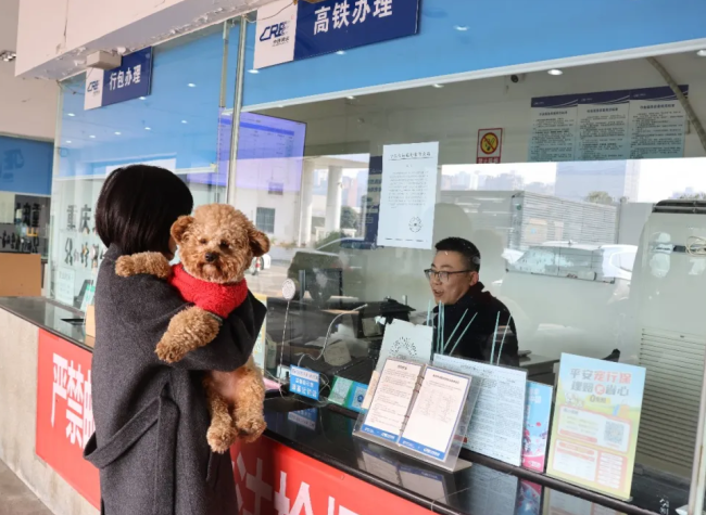 Pets Now Welcome on Board: Chongqing Expands High-Speed Rail Travel for Furry Friends