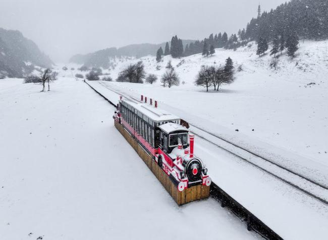 From Ski Slopes to Rural Coffee Shops: How Chongqing Wulong Achieved Dual Growth in Visitors and Spending in 2025