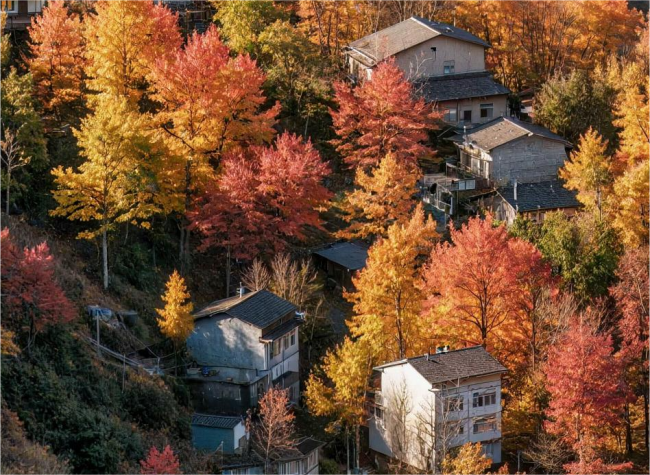 Visual Chongqing | Weekly City Views on January 19-January 25, 2025