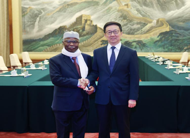 Chinese VP Meets OIC Secretary-general