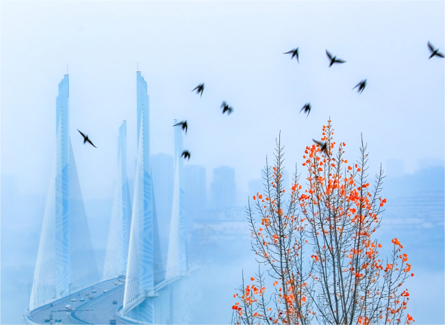 Visual Chongqing | Weekly City Views on December 22-December 28, 2025