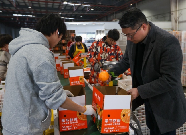 Chongqing Citrus Exports Expand Overseas Markets as Fresh Produce Reaches India and Singapore
