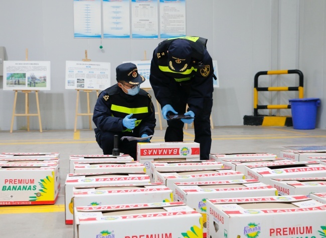 China–Laos Railway Delivers First Rail-to-Rail Banana Shipment to Chongqing