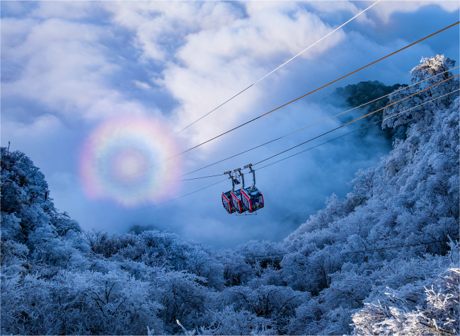 Visual Chongqing | Weekly City Views on January 12-January 18, 2025