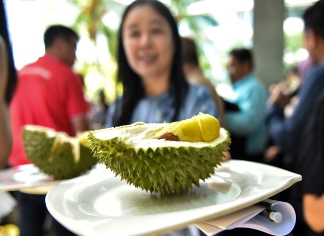 Economic Watch: China's Spring Festival Fuels Strong Demand for ASEAN Fruit