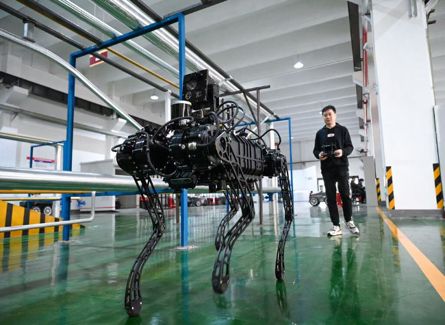 Machines Never Rest: How AI and Robots Drive China's Spring Festival Production