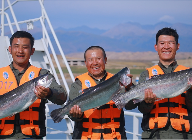 Xinjiang's Small-Scale Border Trade Ranks First in China in 2025