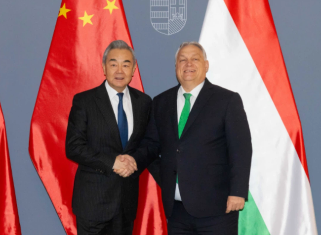 China to Continue Mutual Support with Hungary in Safeguarding Legitimate Rights, Interests: FM