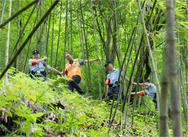 36 Years, 290,000 Kilometers: Chongqing Forest Officer's Lifelong Watch Over the Mountains