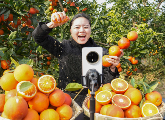 China Focus: China's Internet User Base Hits 1.125 Billion as AI Adoption Surges