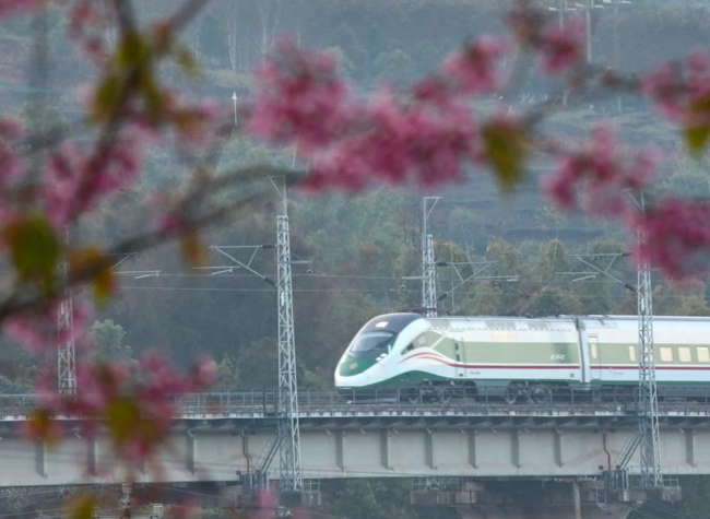 China-Laos Railway Reports Surge in Cross-Border Passenger Traffic During Spring Festival Holiday