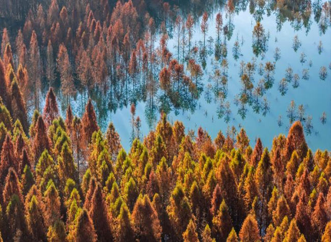 China's Wetland Area Ranks First in Asia, 4th Globally