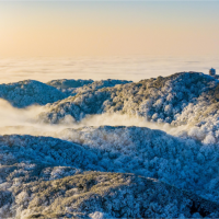 Visual Chongqing | Weekly City Views on February 9-February 15, 2026