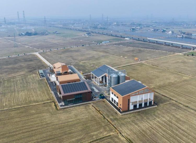 China Cultivates More High-standard Farmland in 2025 Amid Modernization Drive