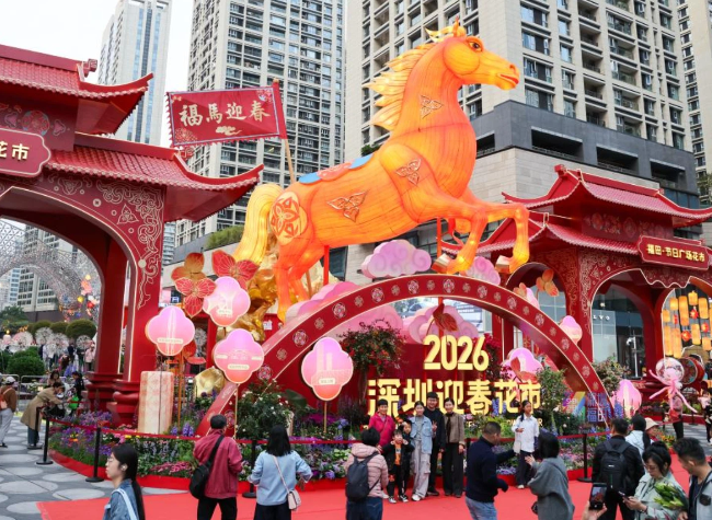 China Focus: China's Pro-Consumption Policies to Boost Spring Festival Spending