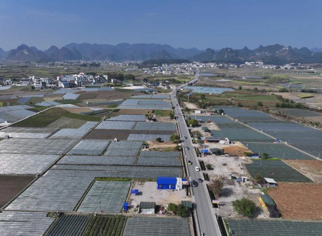 Economic Watch: How China is Propelling Agricultural Modernization, Rural Revitalization