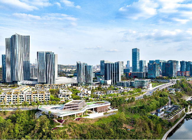 Chongqing's OPC Boom: How One-Person Companies Are Shaping the Digital Economy