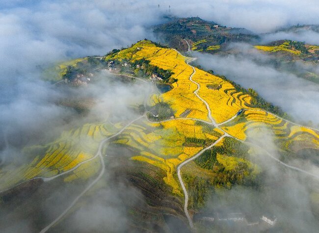 Visual Chongqing | Weekly City Views on March 16-March 22, 2026