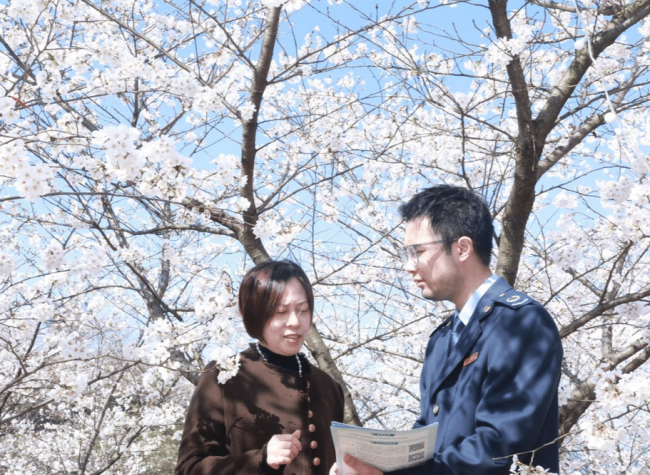 Flower Tourism Blooms in Chongqing, Driving 81.8% Surge in Scenic Spot Revenue