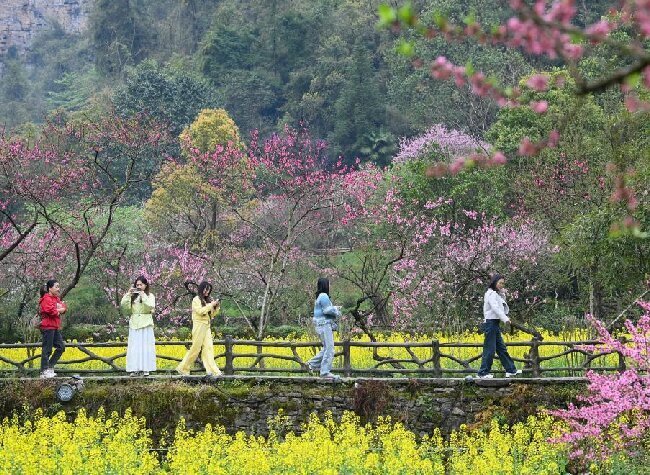Spring Break Boosts Qingming Travel, Chongqing Ranks Among Top Destinations