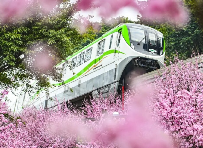 Trains Towards Spring' Depart: Chongqing Upgrades Its Signature Floral Rail Spectacle