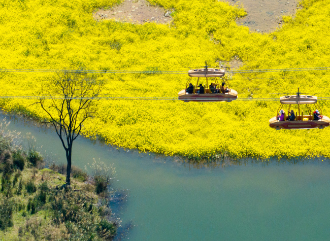 Chongqing's new micro-wetlands bring spring blossoms and ecological restoration