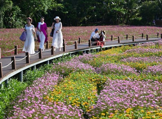 Across China: Rural Economies Prosper in Boao Forum Host Town