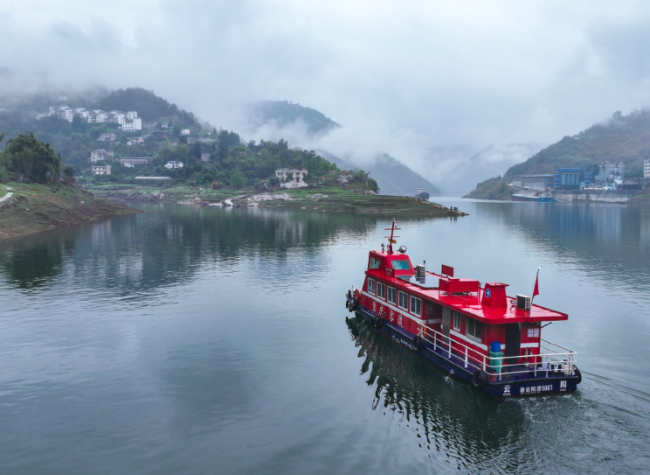 Ferryman maintains vital river link while protecting herons