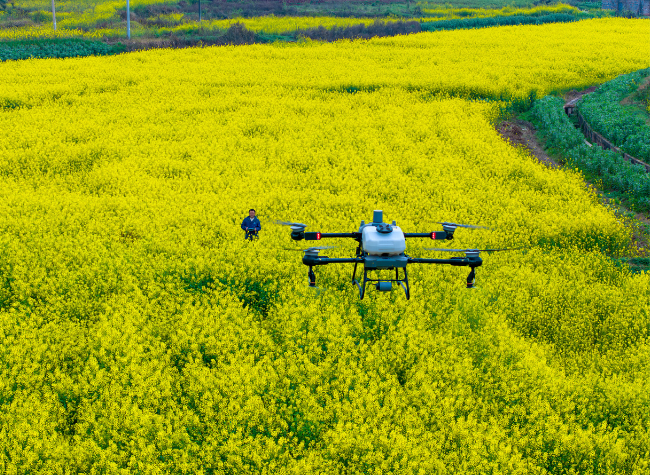 Chengdu-Chongqing Eyes AI Breakthrough as China Expands